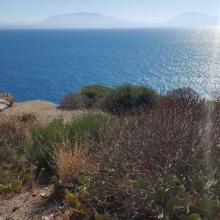 Mediterranean Βίλα Terrasini Εξωτερικό φωτογραφία