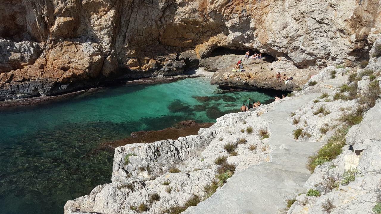 Mediterranean Βίλα Terrasini Εξωτερικό φωτογραφία