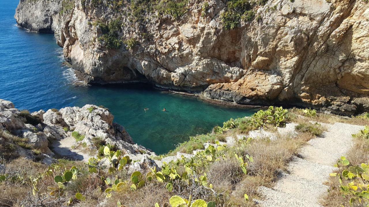 Mediterranean Βίλα Terrasini Εξωτερικό φωτογραφία