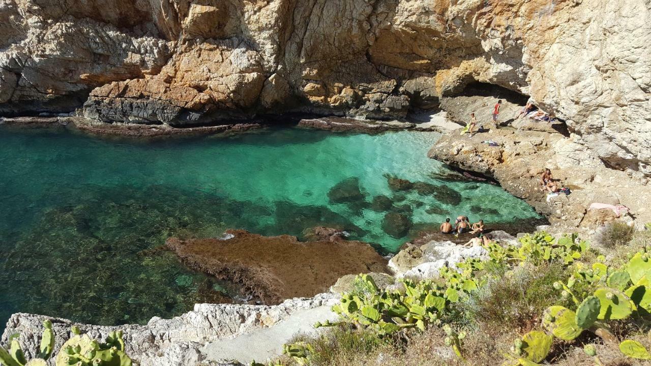 Mediterranean Βίλα Terrasini Εξωτερικό φωτογραφία
